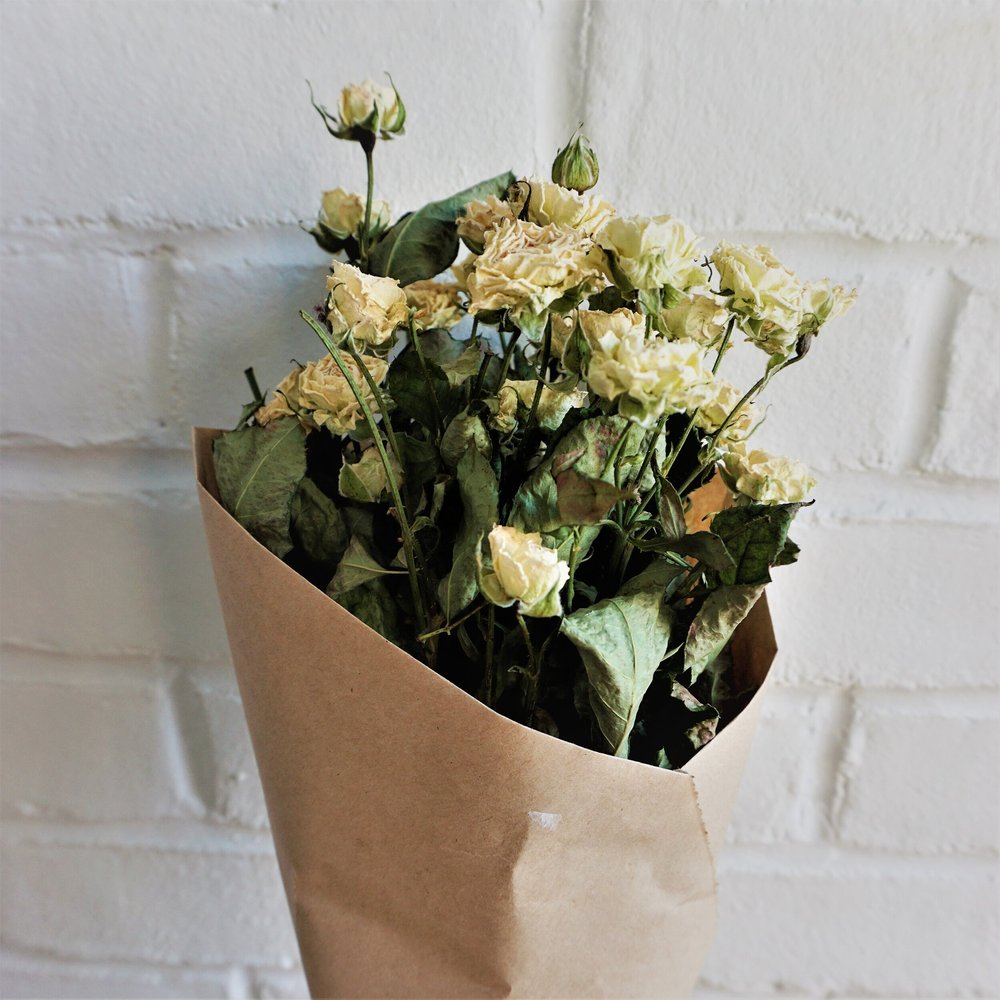 Botanicals — Kate's Garden